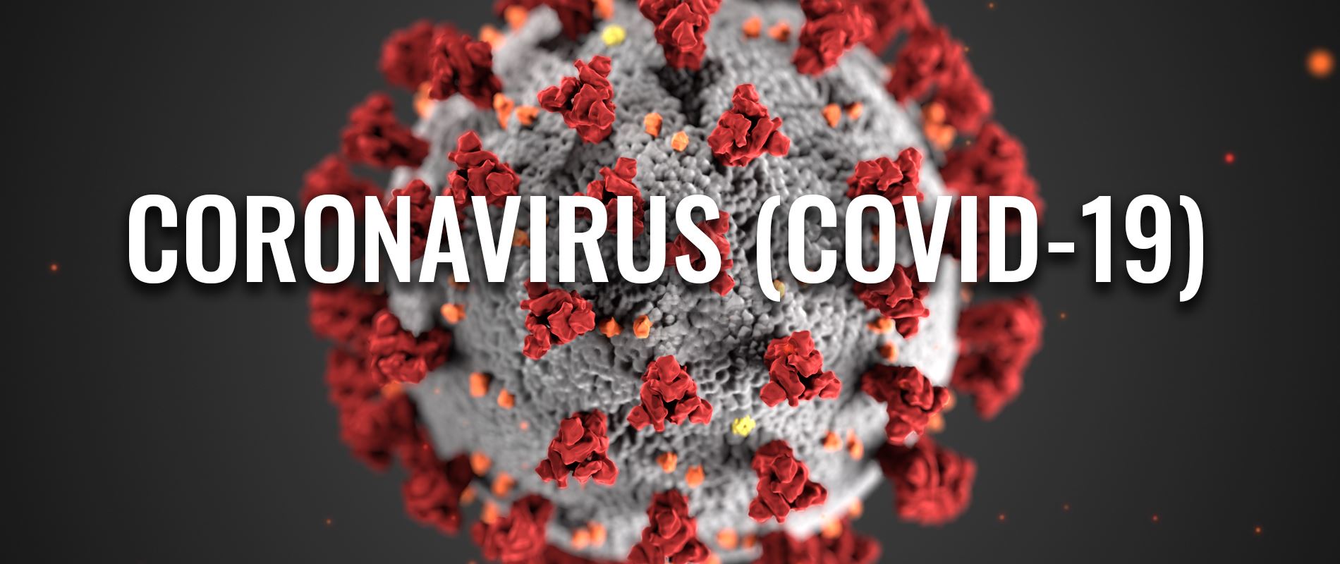 CoronaVirus